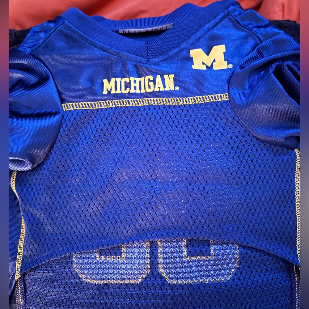 Michigan Wolverines Dog Jersey (M)